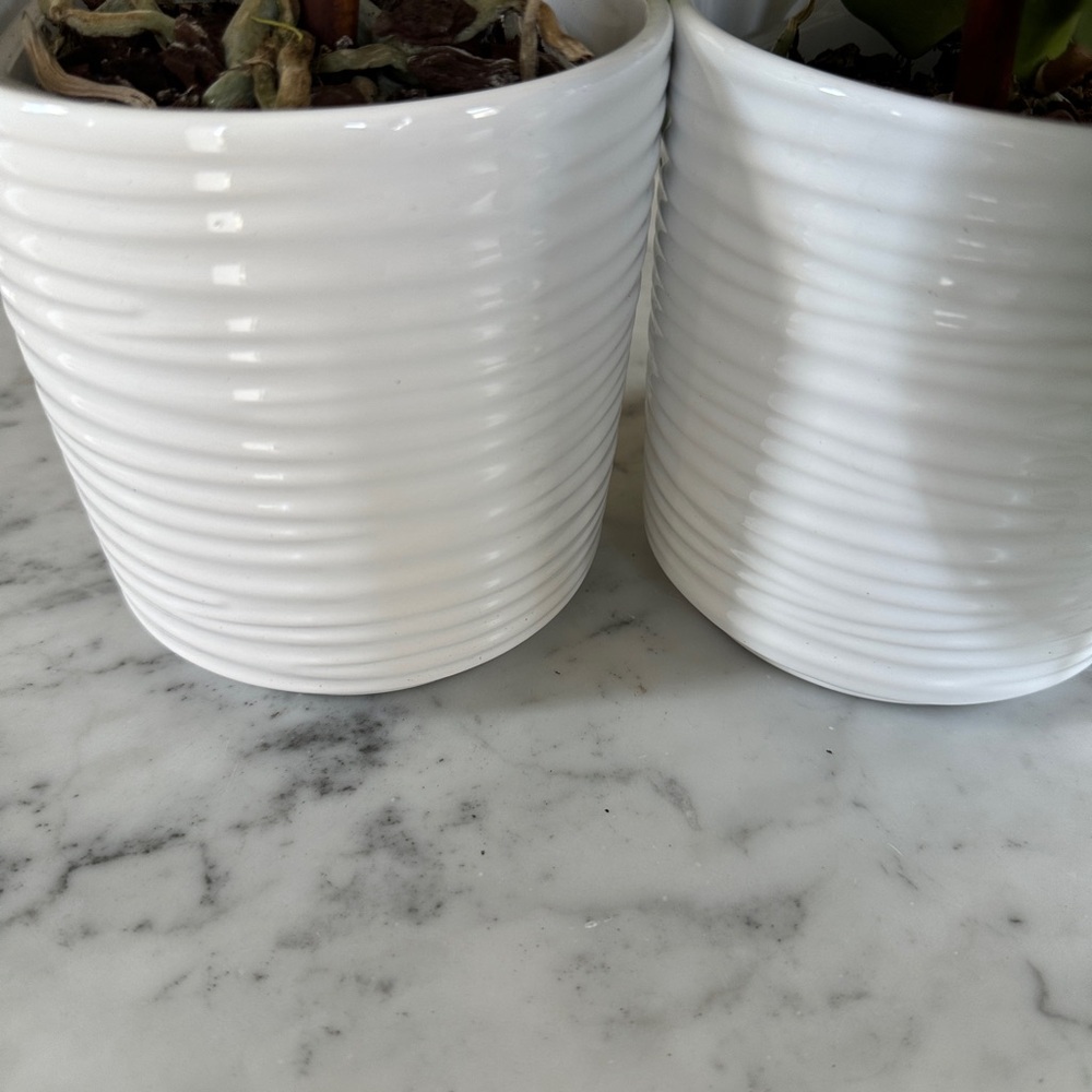 2 Elegant white horizontal ribbed ceramic plant pots